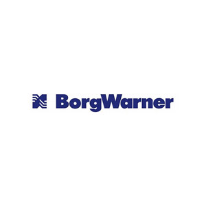 logo-BorgW